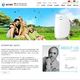 北京鹏飞网络工作室 打造卓越品牌形象的网站建设与设计成功案例